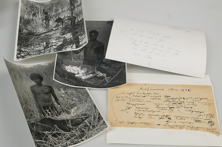 Photographs and field notes in the Donald Thomson Ethnohistory Collection