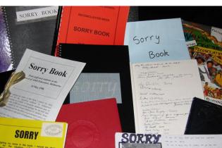 Selection of Sorry Books